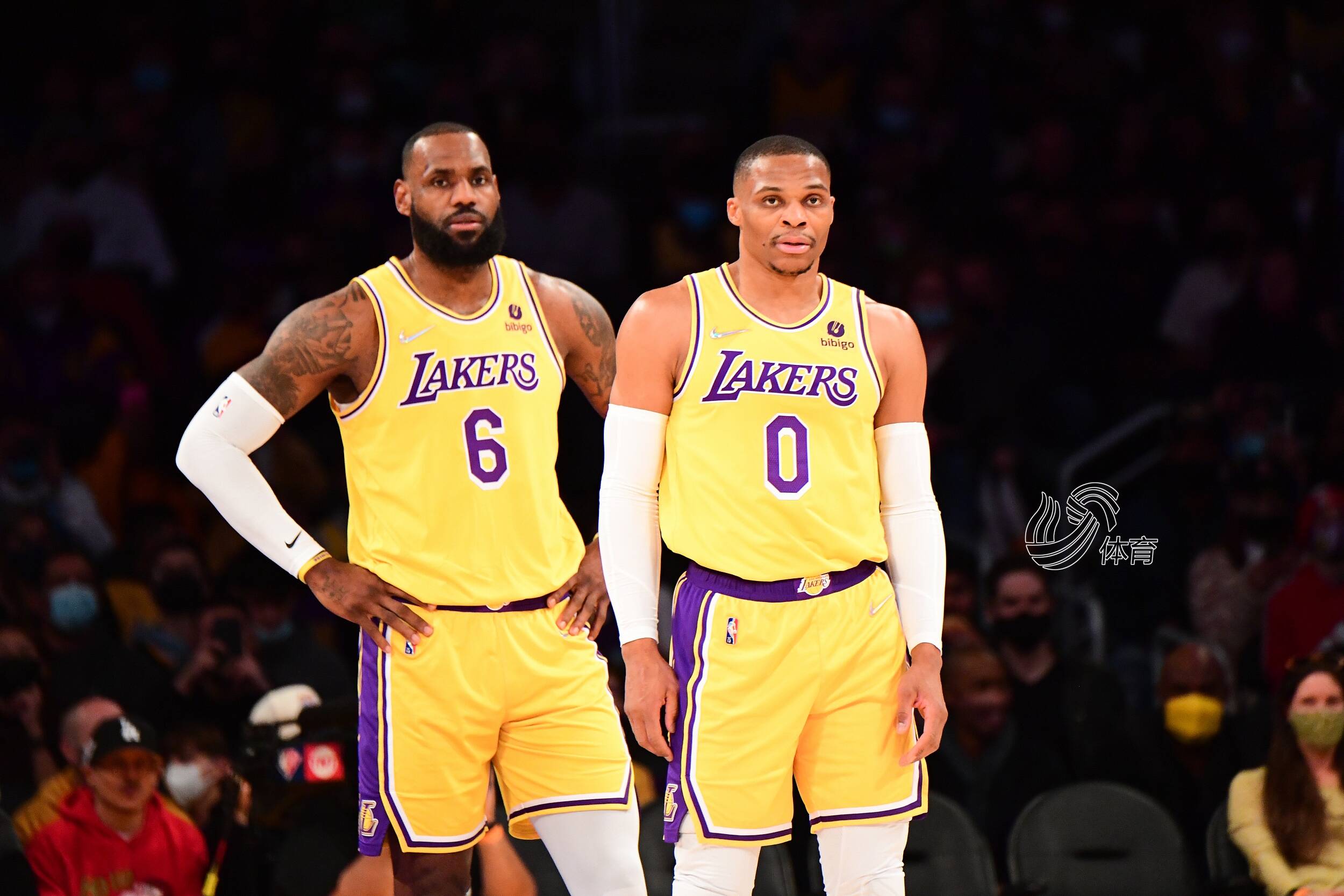 并非修辞 并非修辞