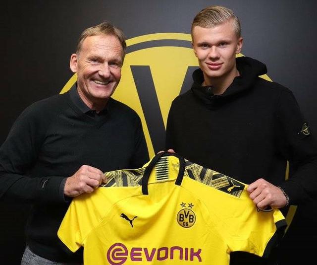 对手针对豪 对手针对豪